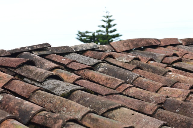 Roof Painter in Johannesburg